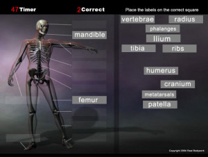 Play this anatomy game for the skeleton and quickly learn the bone names