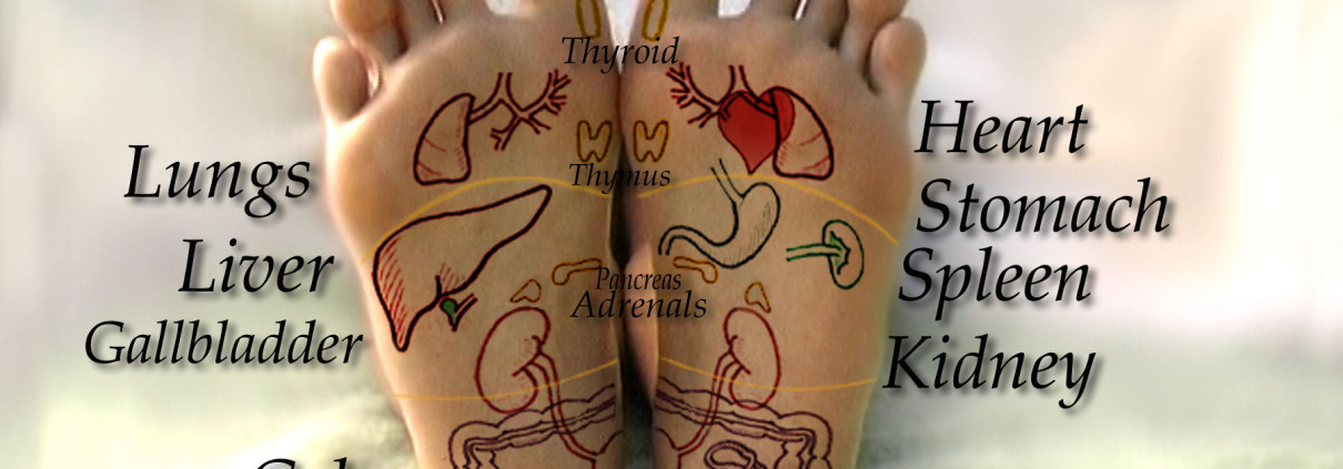 Reflexology foot chart