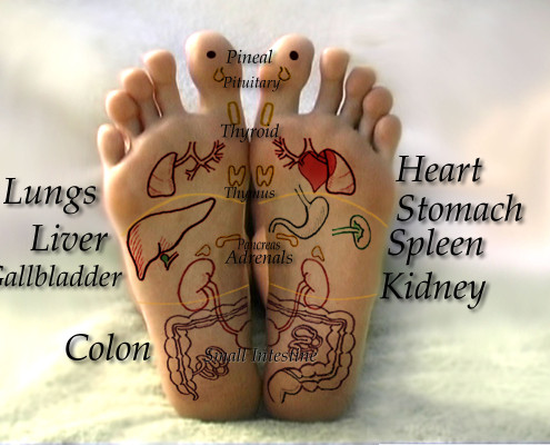 Reflexology foot chart