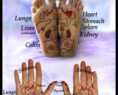 Reflexology chart