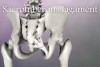 special hip assessment