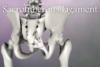 special hip assessment