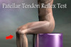 Orthopedic assessment for the lumbar spine