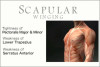 Scapular winging assessment