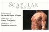 Scapular winging assessment