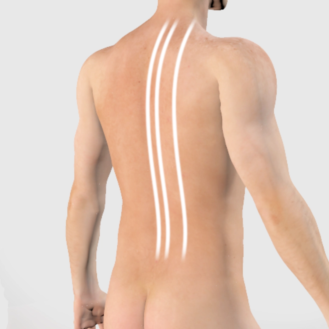 thai massage sen lines