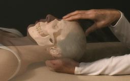 two hands holding the cranium apply cranial sacral therapy