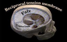 reciprocal tension membrane