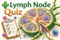 Wide medical illustration icon showing a cross-section of a lymph node with internal cortex and medulla structures, surrounded by lymphatic vessels and immune cells, designed as an educational graphic for a lymph node anatomy quiz.